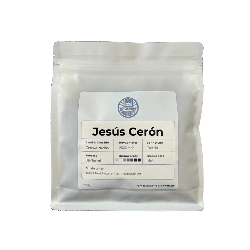 Jesús Cerón